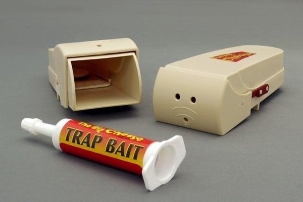 How to Set Up a Humane and Effective Mousetrap?